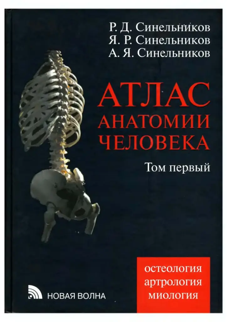 Атлас анатомии человека. Том 1: Учение о костях, соединении костей и мышцах