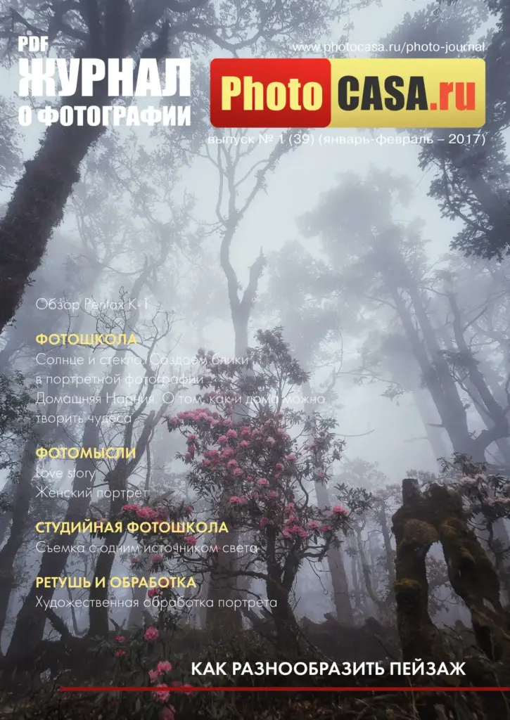 Журнал о фотографии. Выпуск № 1 (39), январь–февраль 2017