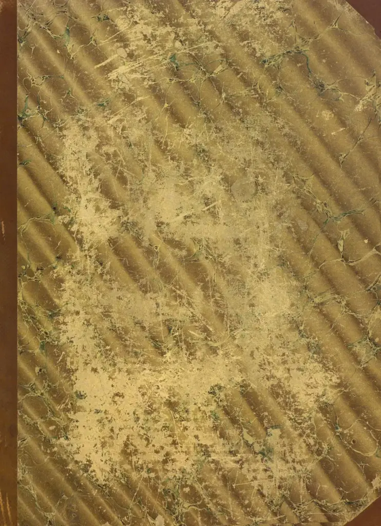 Вестник моды 1900
