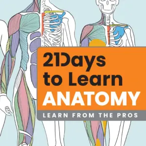 21 Days to Learn Anatomy