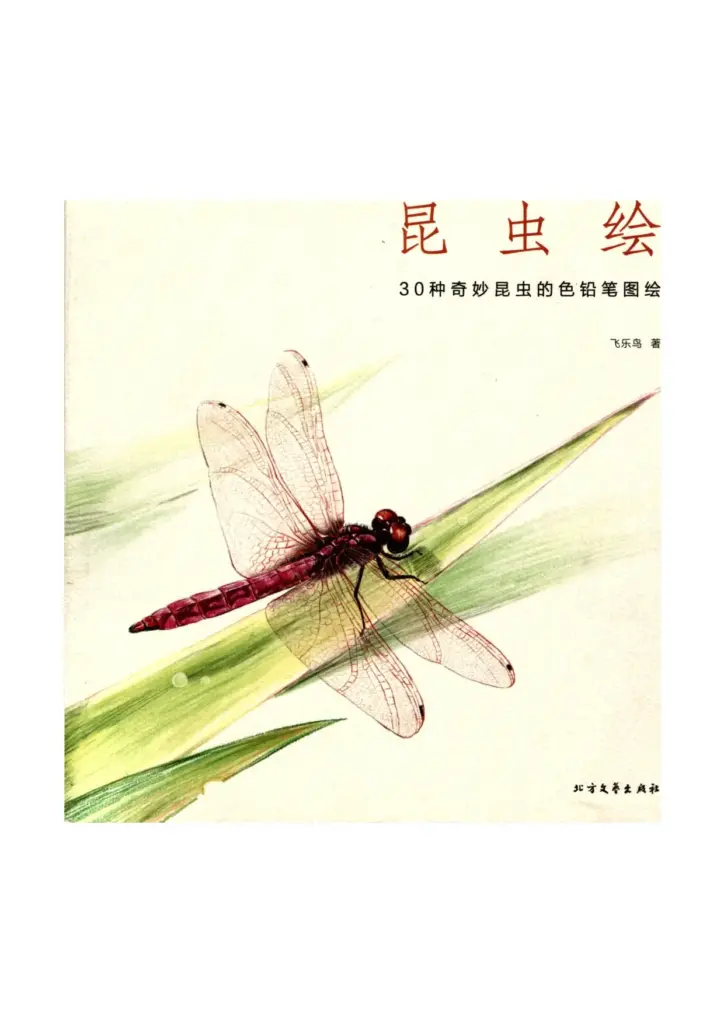 昆虫绘：30种奇妙昆虫的色铅笔图绘