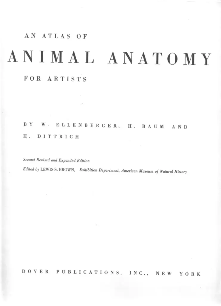 An Atlas of Animal Anatomy for Artists
