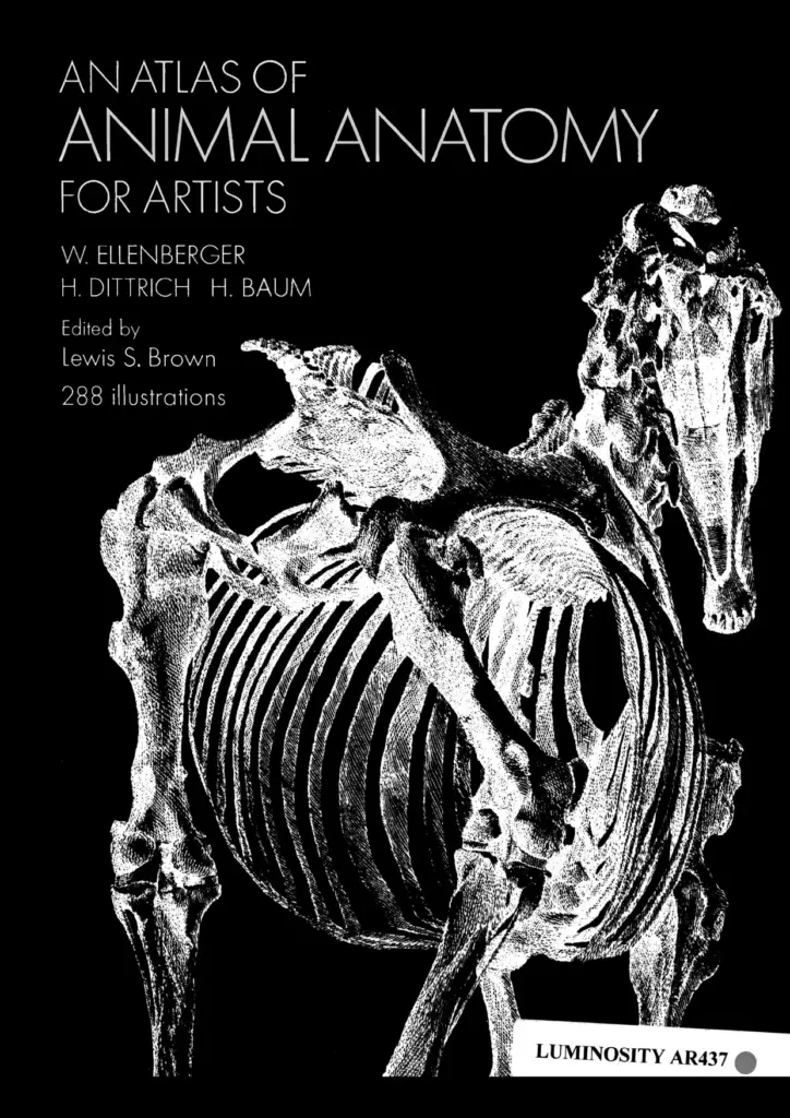 An Atlas of Animal Anatomy for Artists