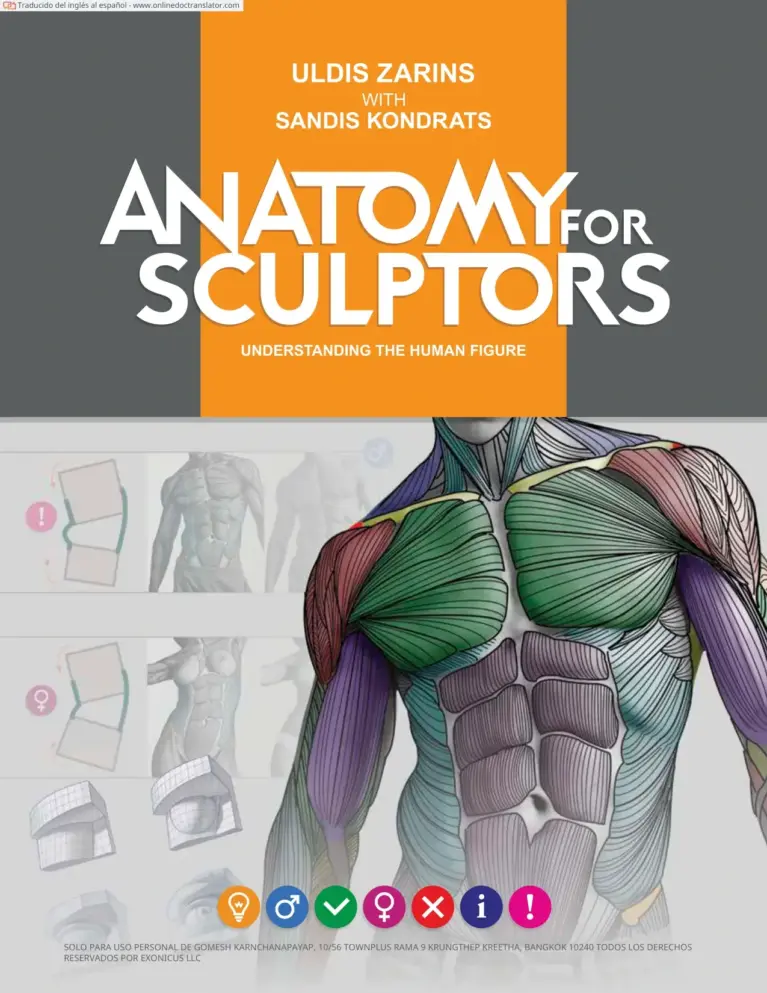 Anatomía Para Escultores: Comprender la Figura Humana