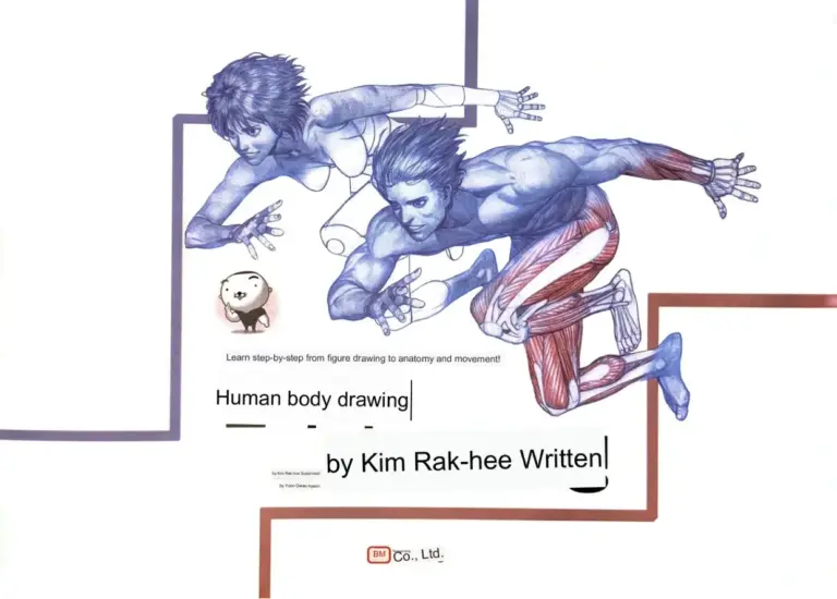 Anatomy Drawing Class for Beginners
