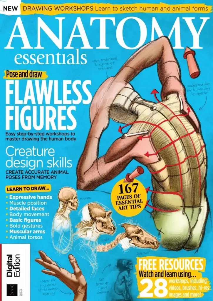 Anatomy Essentials: Drawing Workshops, Flawless Figures, Creature Design Skills