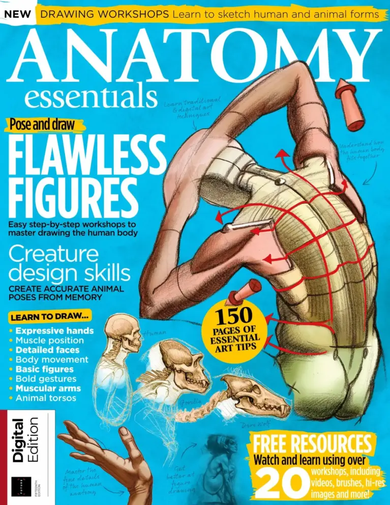 Anatomy Essentials: Learn to Draw Human and Animal Anatomy