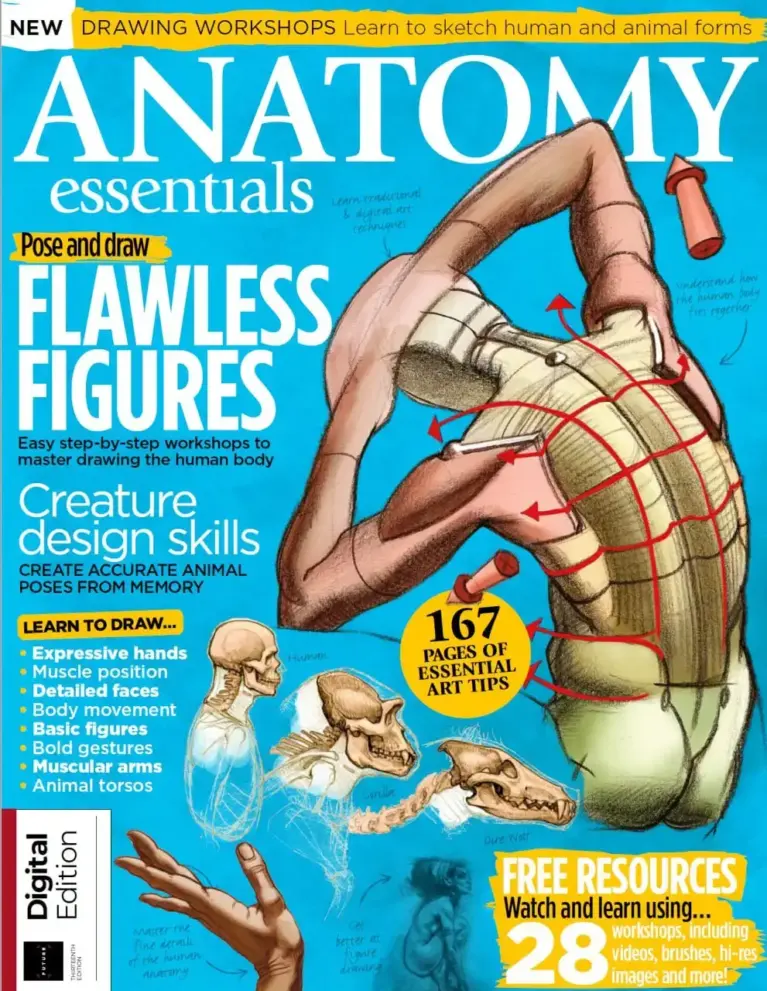 Anatomy Essentials Thirteenth Edition