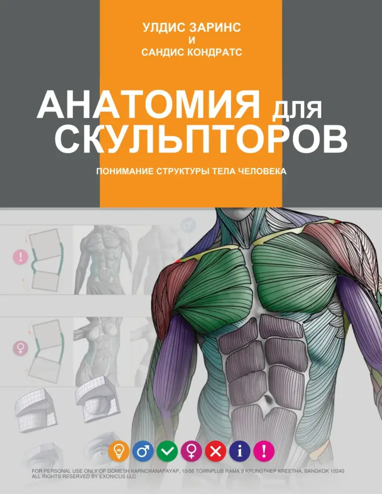 Anatomy For Sculptors, Understanding the Human Figure