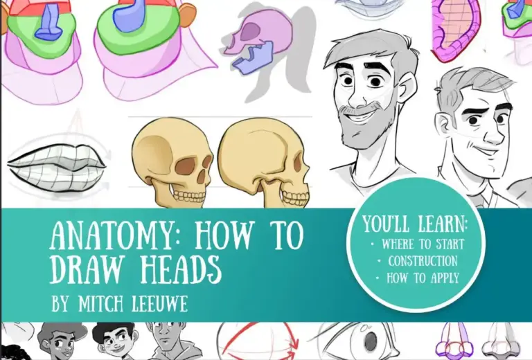 Anatomy: How to Draw Heads