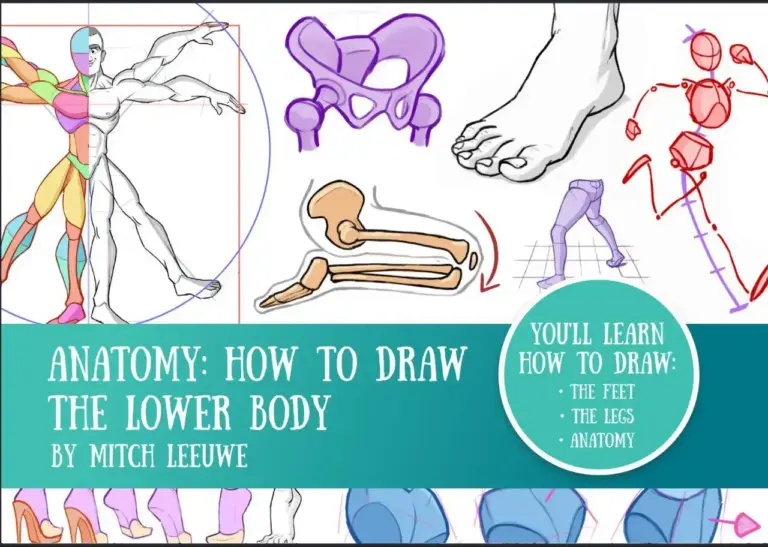 Anatomy: How to Draw the Lower Body
