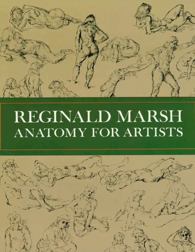 Anatomy for Artists