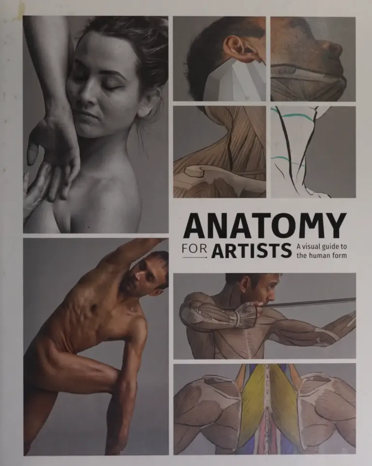 Anatomy for Artists: A Visual Guide to the Human Form