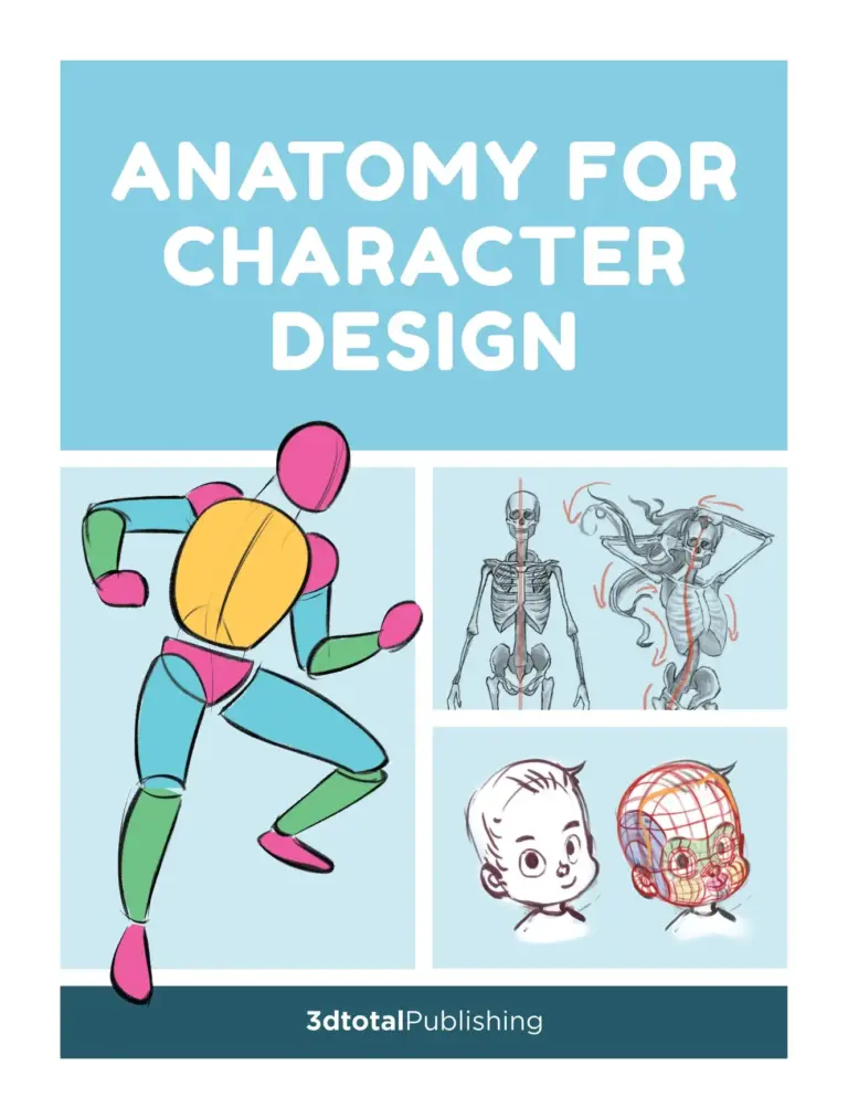 Anatomy for Character Design