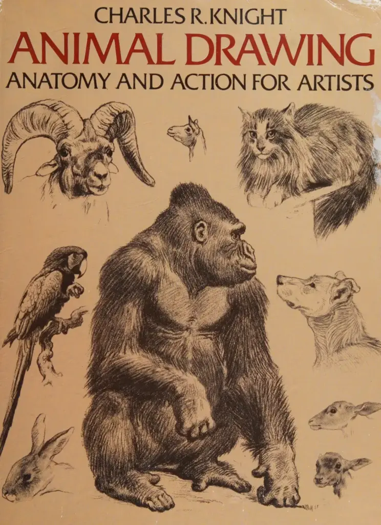 Animal Drawing: Anatomy and Action for Artists