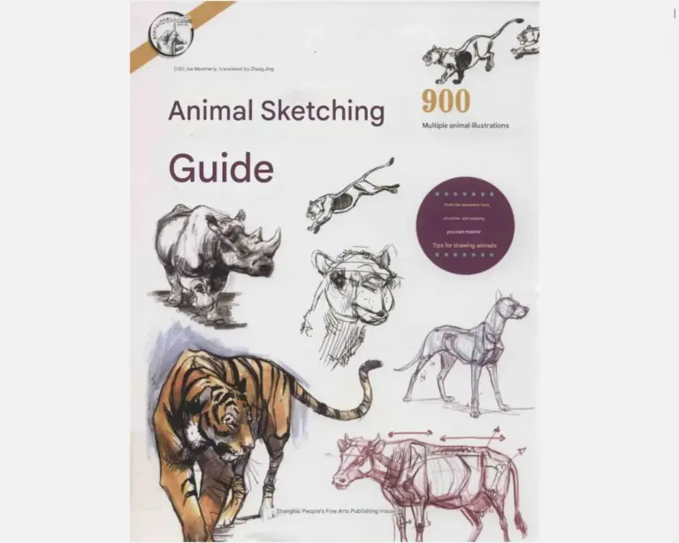 Animal Sketching Guide: Master the Tips of Drawing Animals from the Perspective of Movement, Structure, and Anatomy