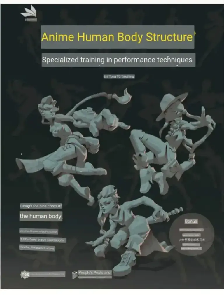 Anime Human Body Structure