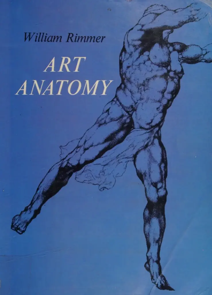 Art Anatomy