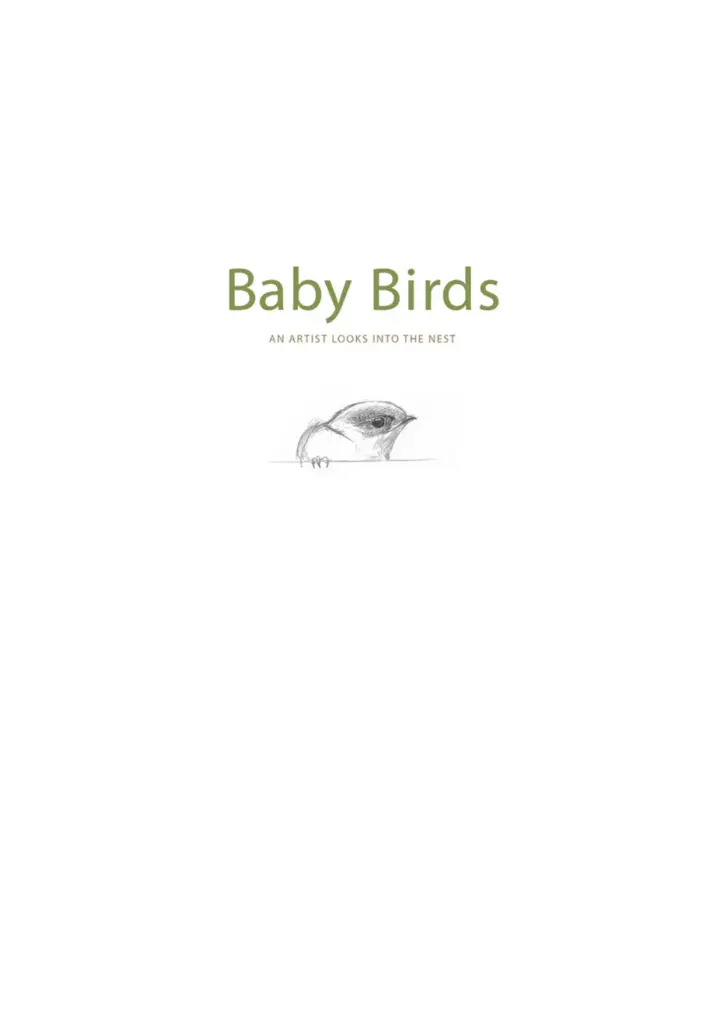 Baby Birds: An Artist Looks into the Nest