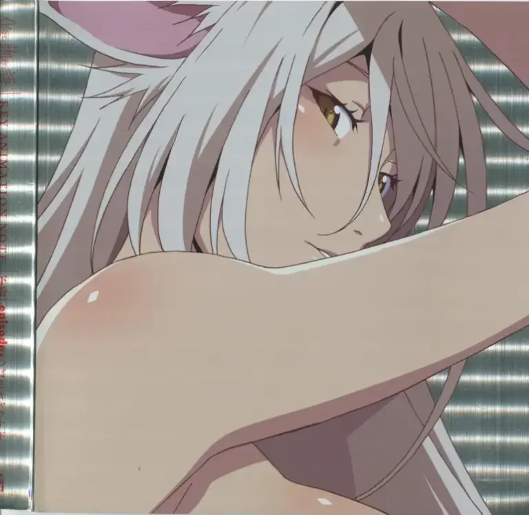 Bakemonogatari Key Animation Note Part 1 Vol. 1
