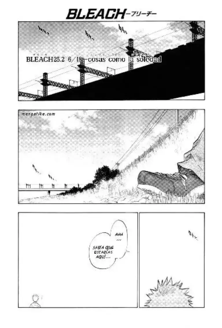 Bleach Extra: Radio-Kon