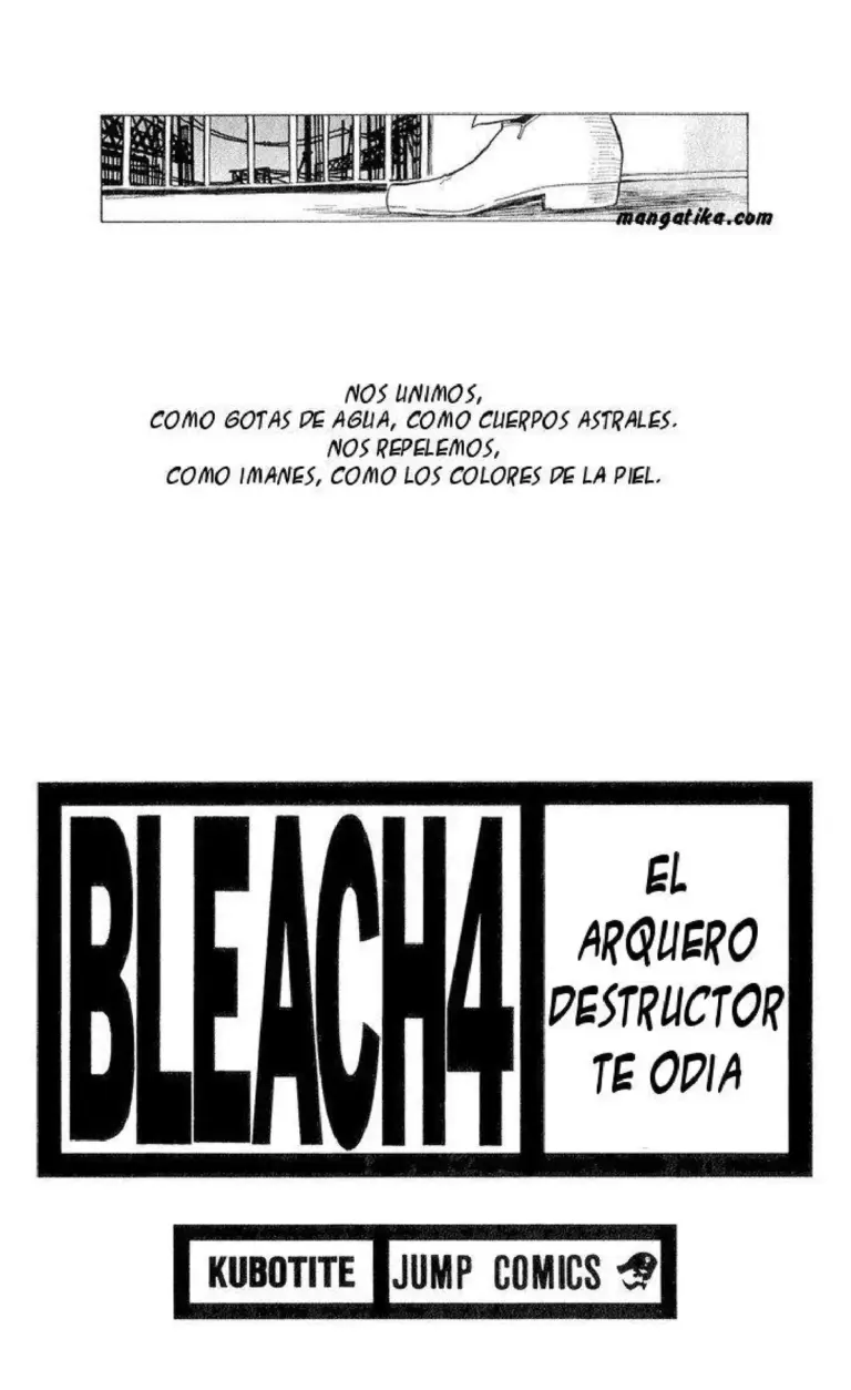 Bleach, Tomo 04
