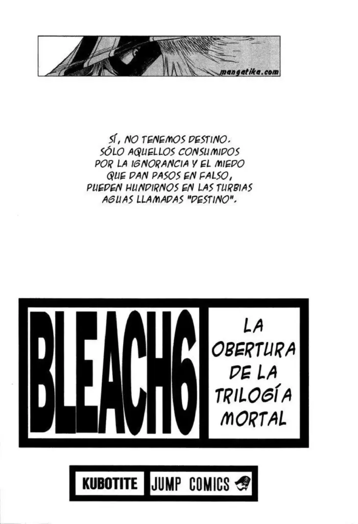 Bleach Tomo 06