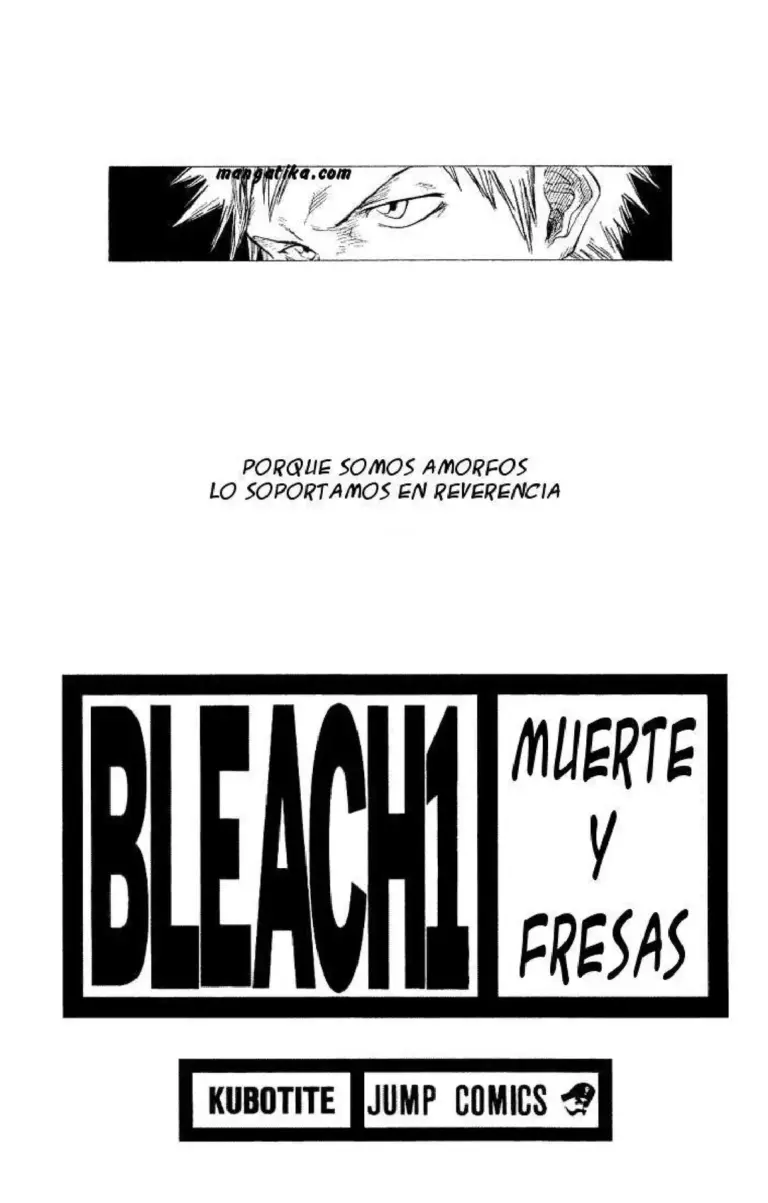 Bleach Tomo 1: Muerte y Fresas