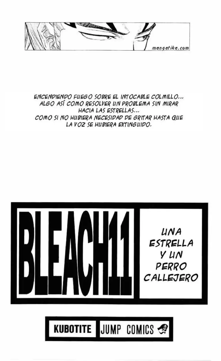 Bleach (Tomo 11)