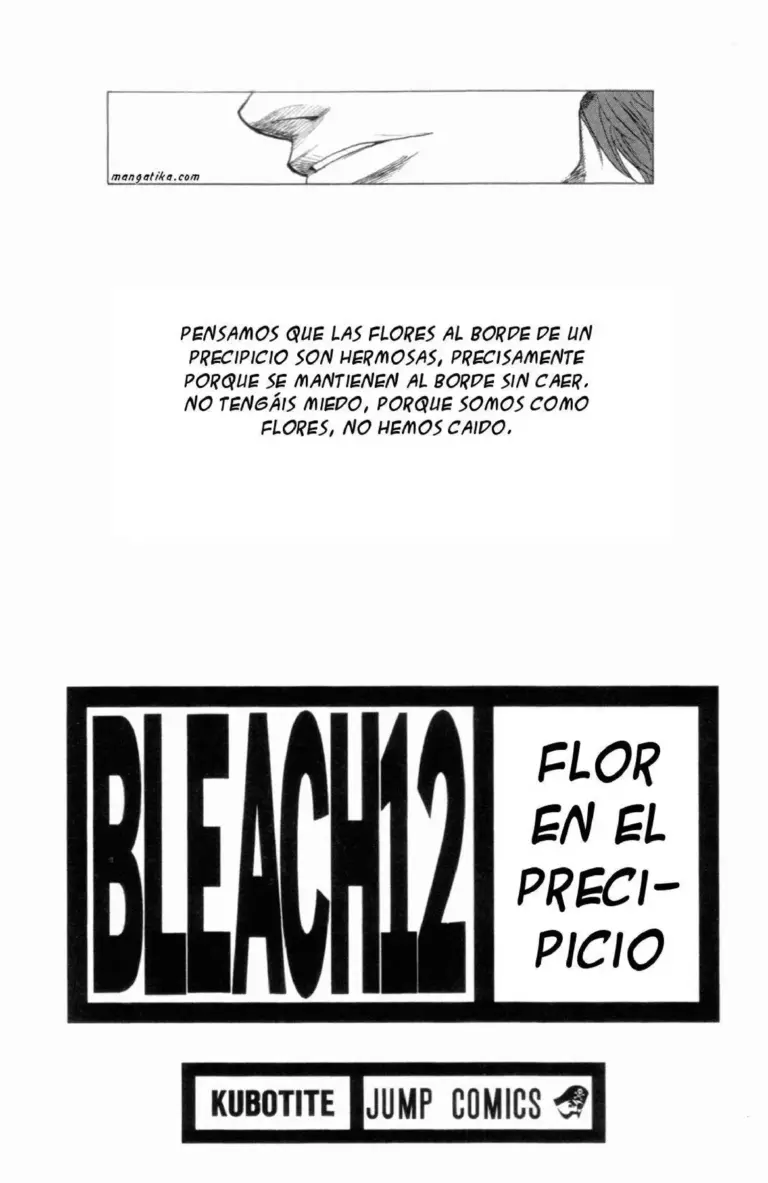 Bleach Tomo 12