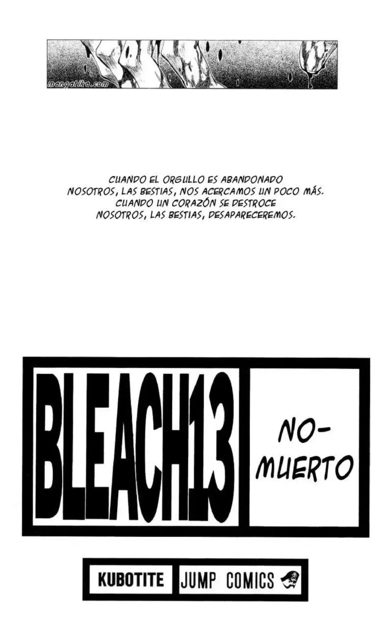 Bleach Tomo 13