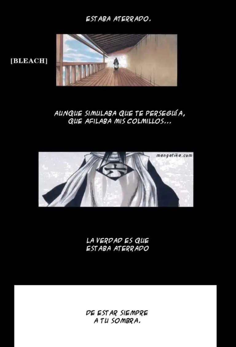 Bleach Tomo 17