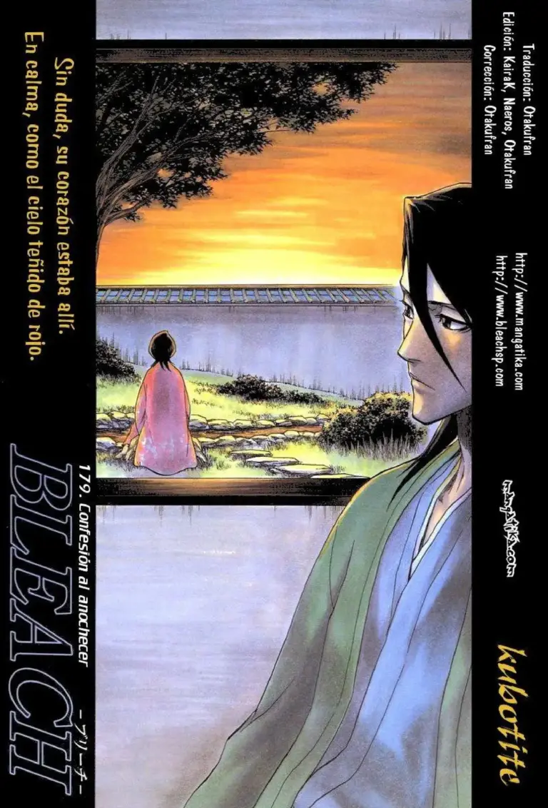 Bleach Tomo 21