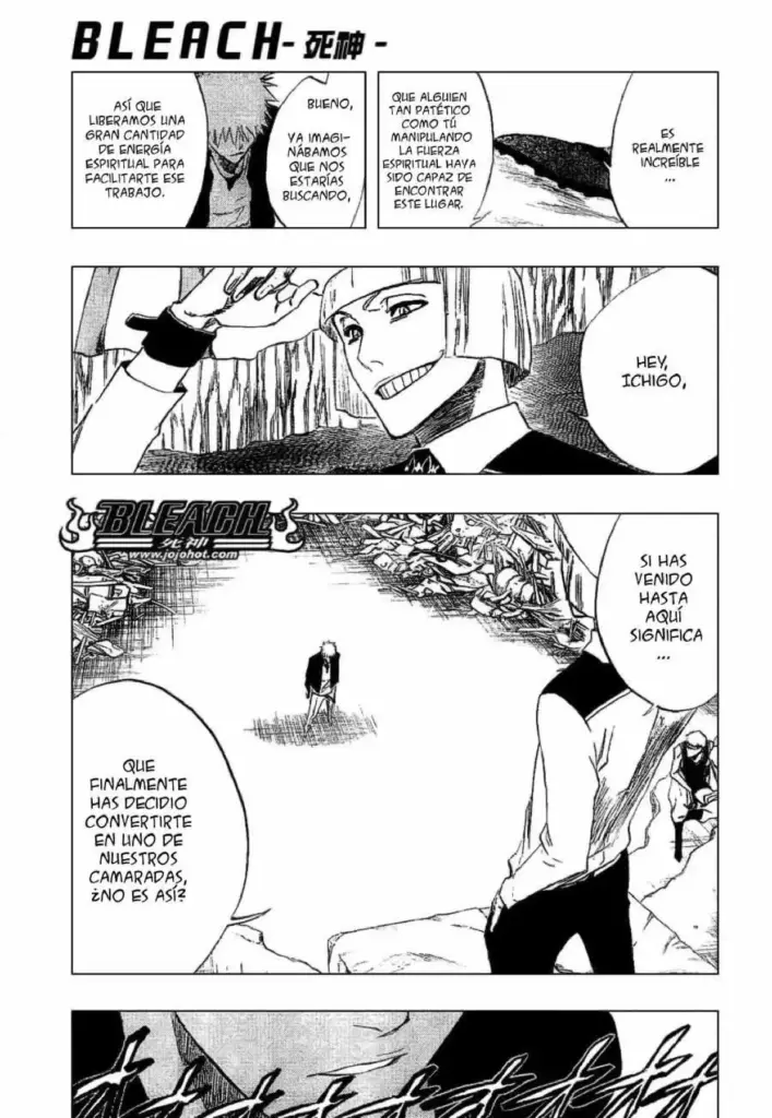 Bleach, Tomo 25