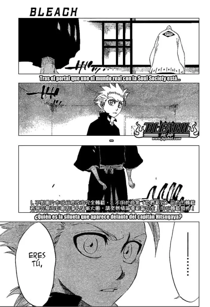 Bleach Tomo 26