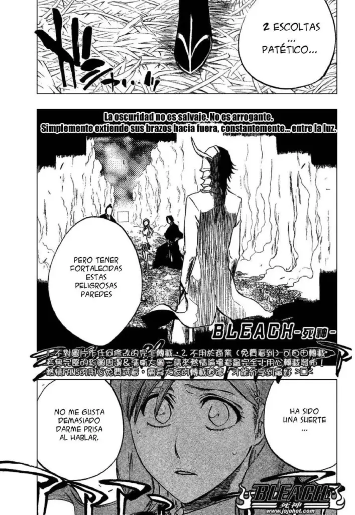 Bleach Tomo 27