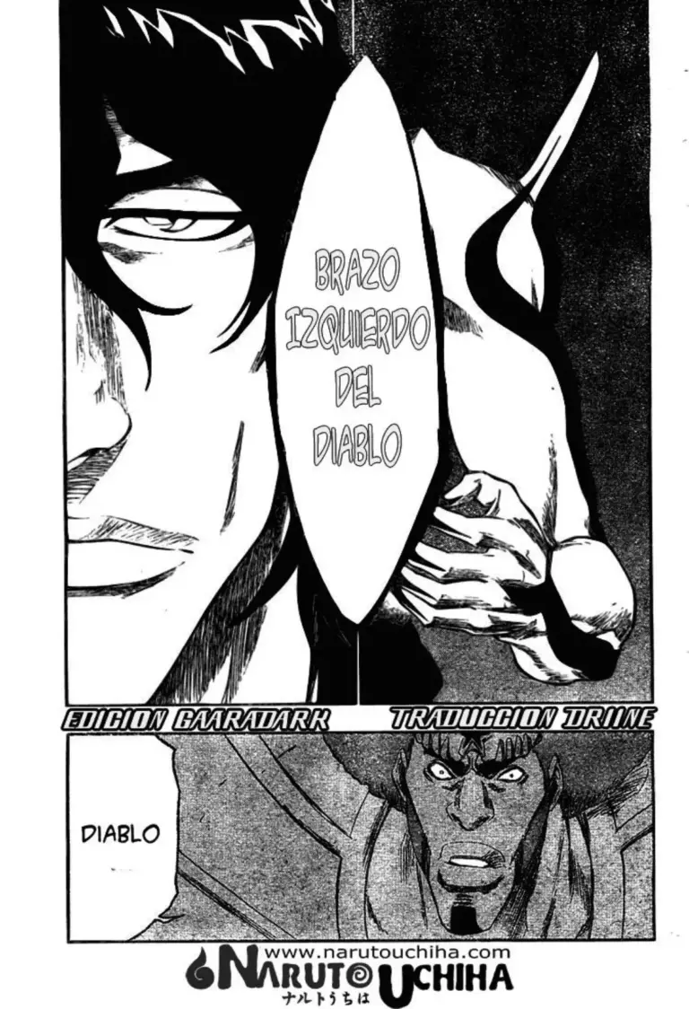 Bleach Tomo 30