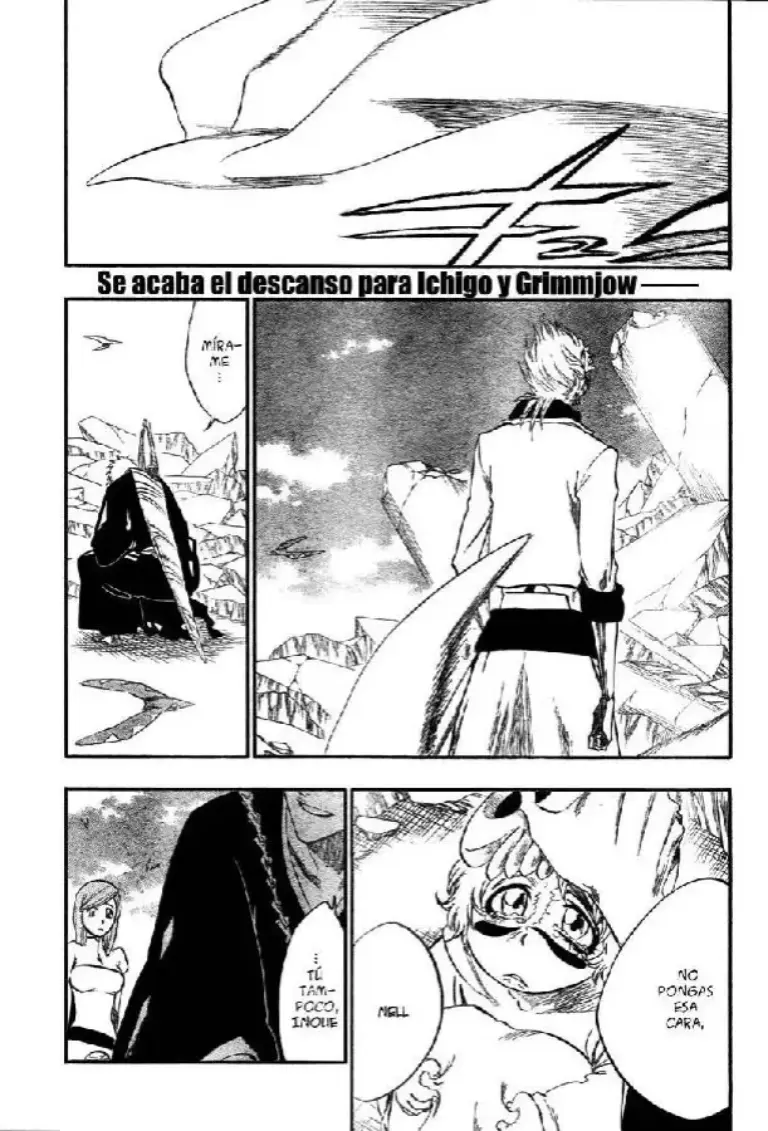 Bleach – Tomo 32