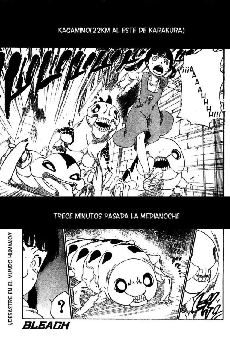 Bleach Tomo 36