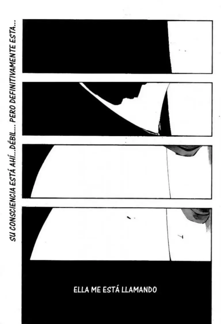 Bleach – Tomo 41