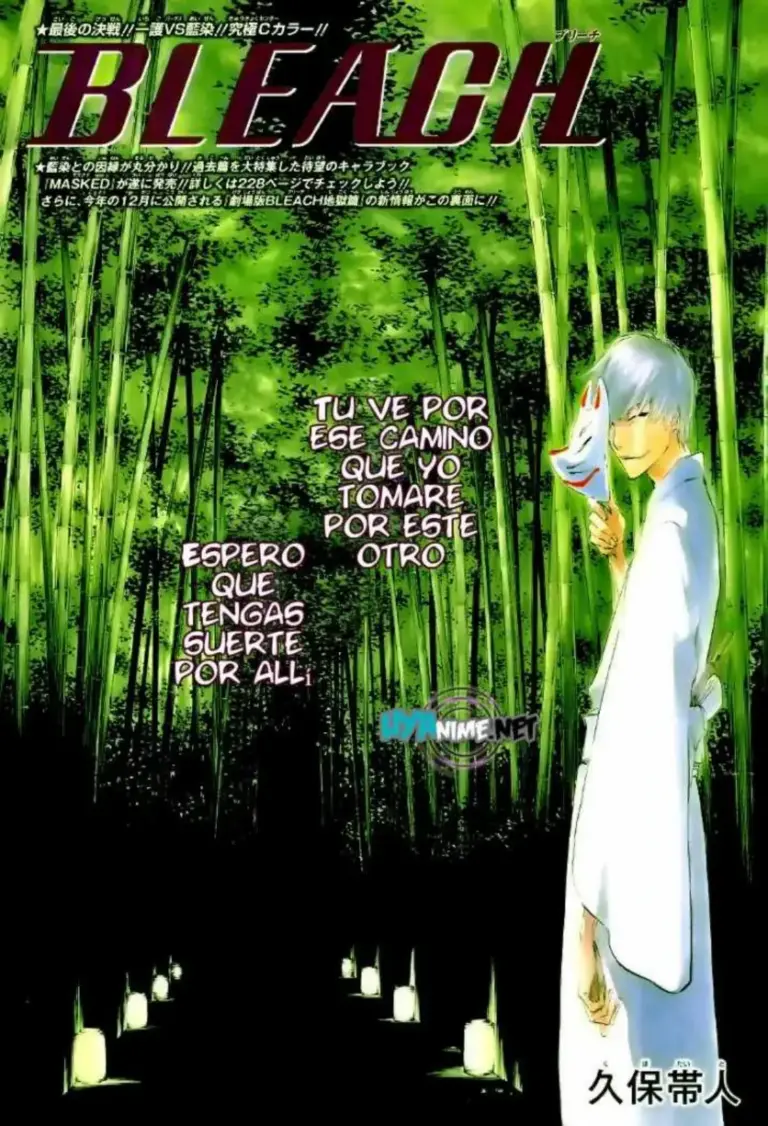 Bleach Tomo 48