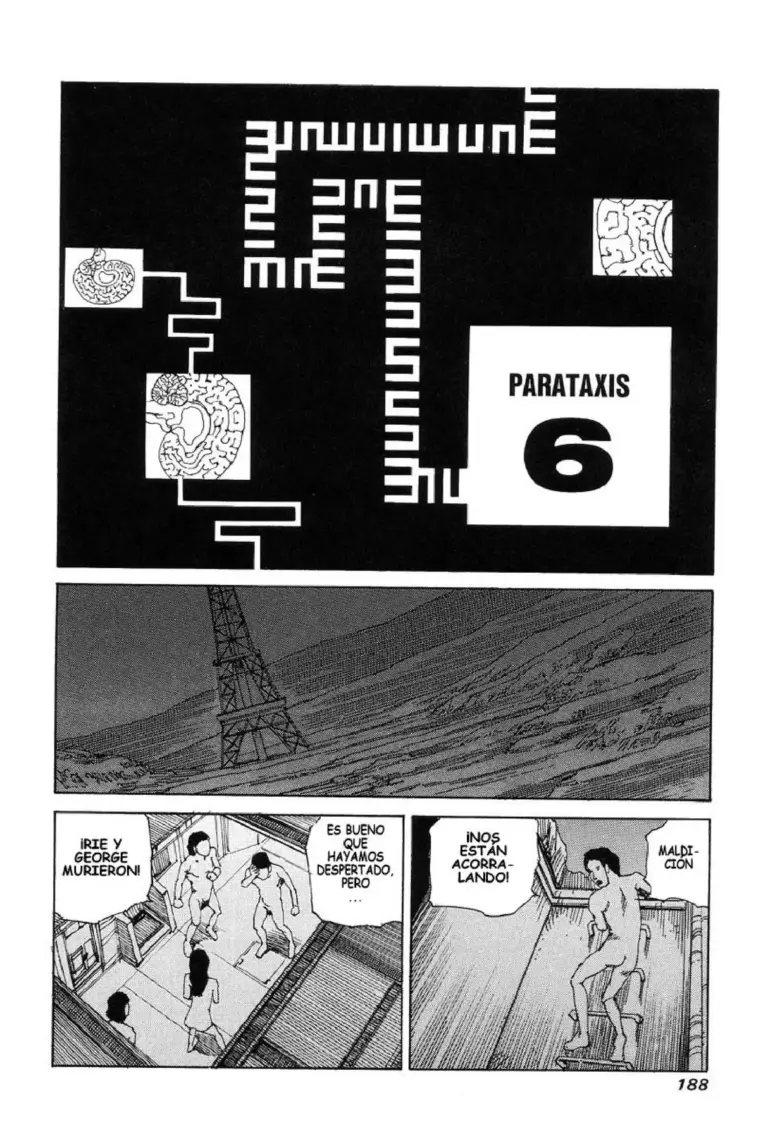 Cerebros Superconductivos – Parataxis – Fin