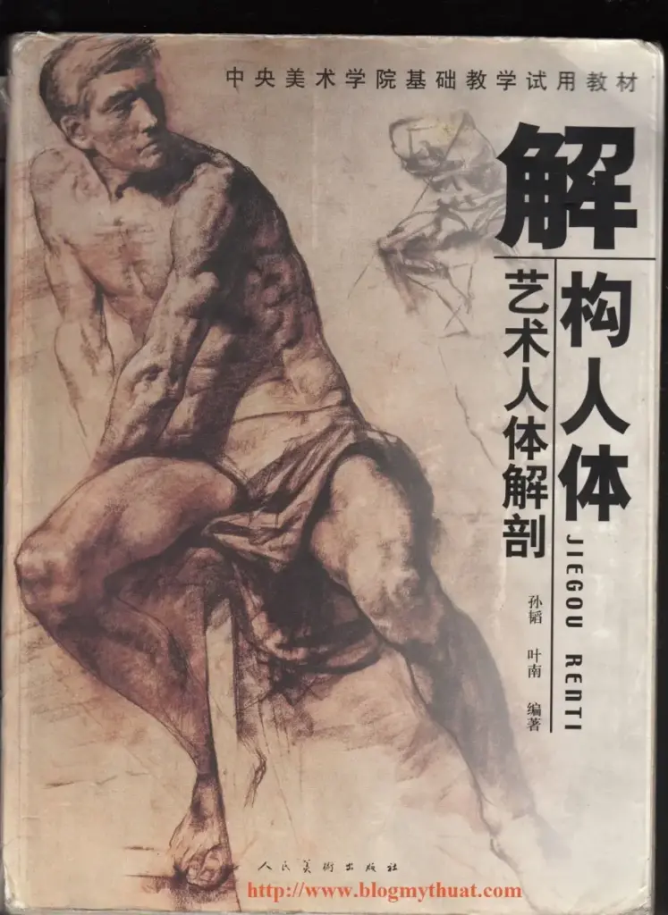 Chinese Anatomyforthea