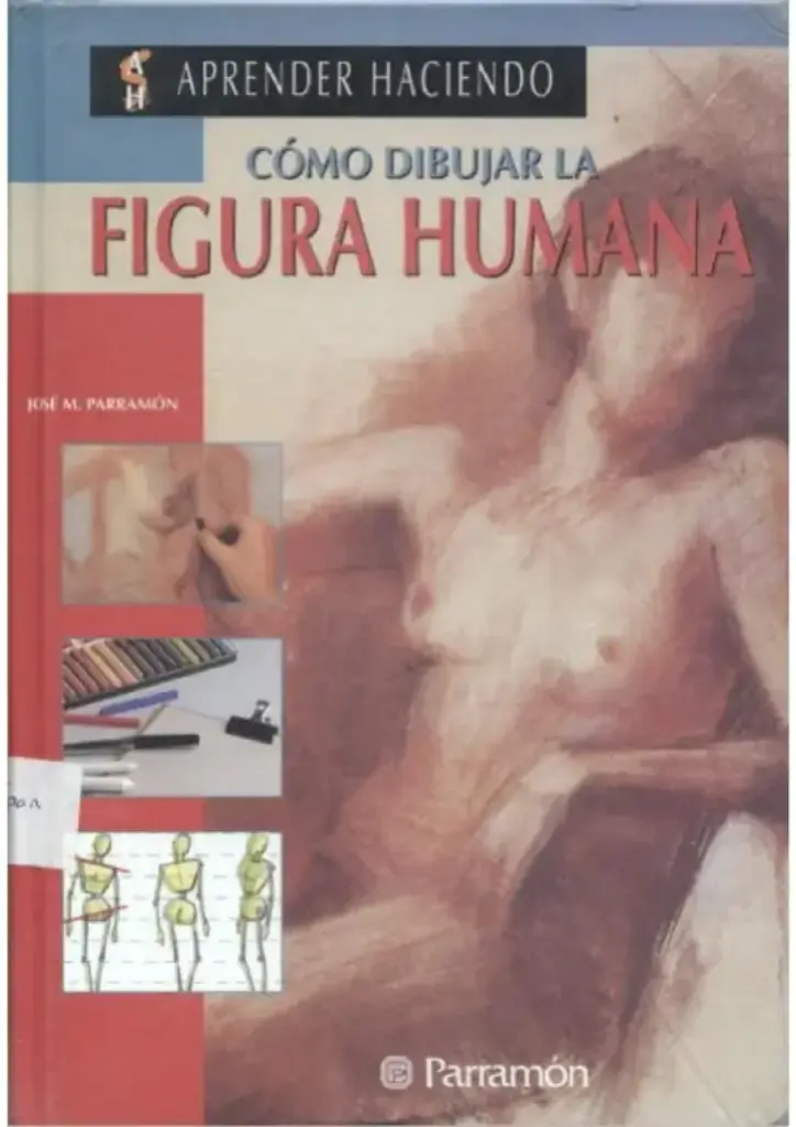 Cómo Dibujar La Figura Humana