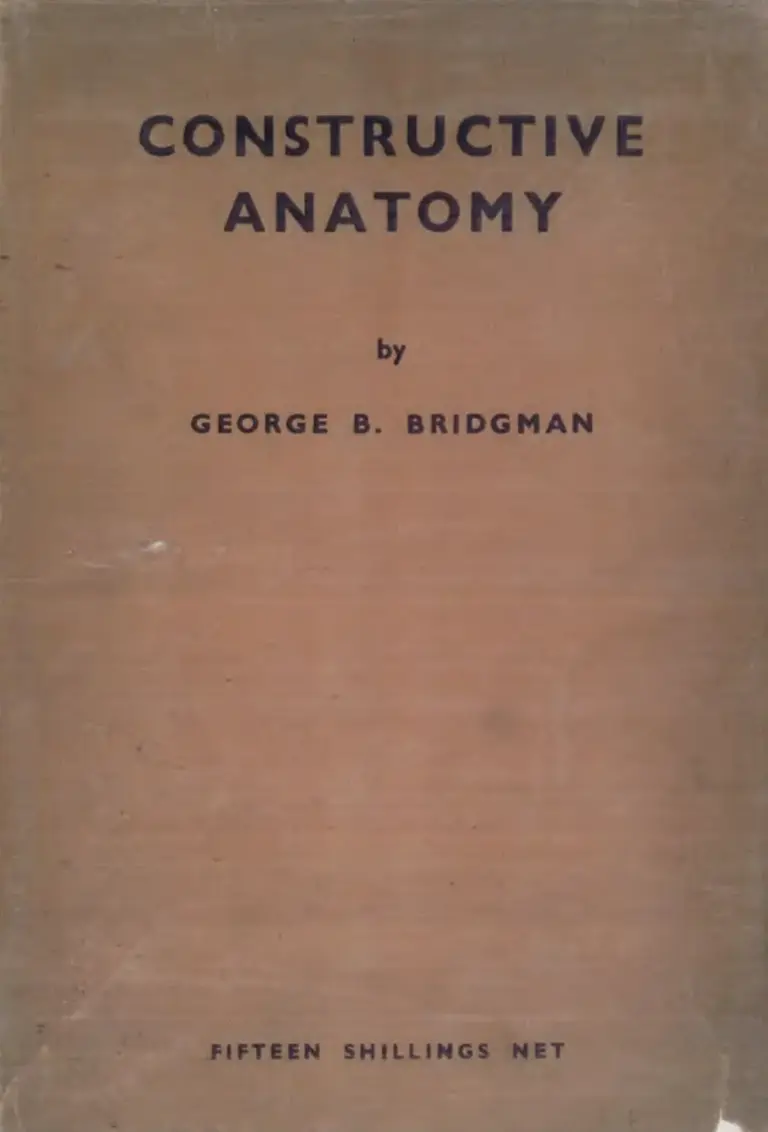 Constructive Anatomy