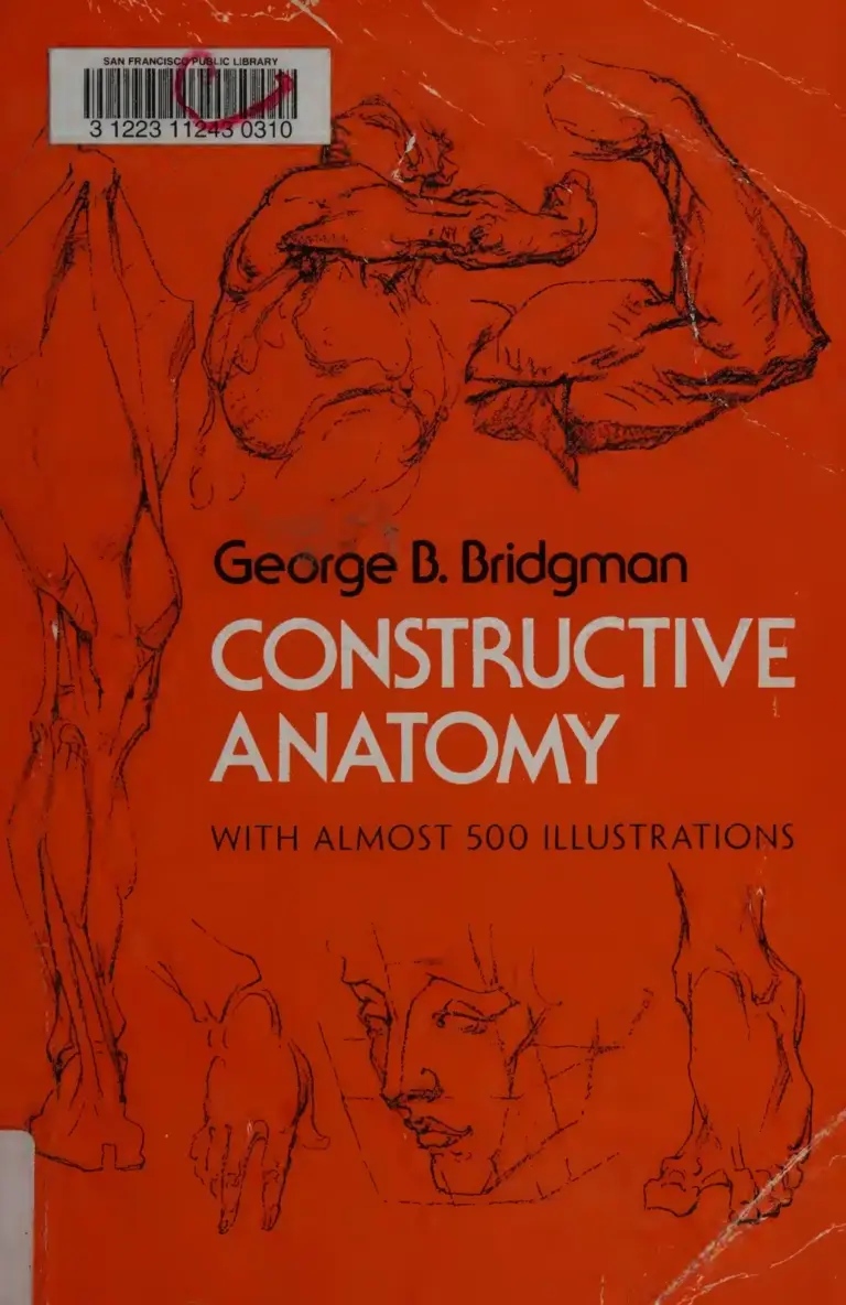 Constructive Anatomy