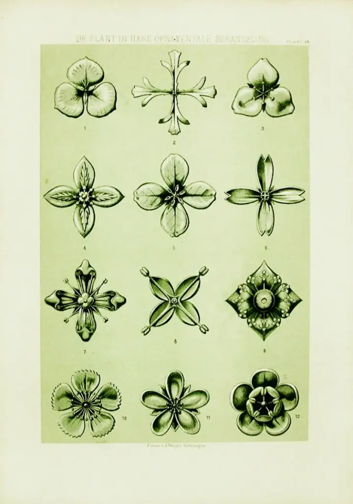 De Plante in Hare Ornate in Hare Ornatmentale Behandeling