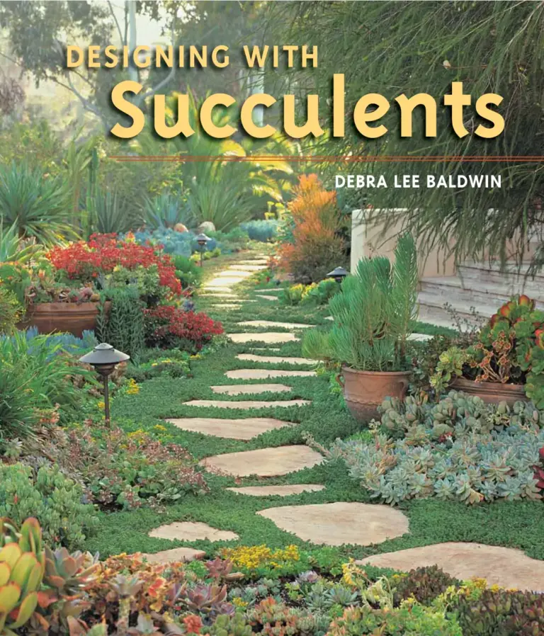 Designing With Succulents