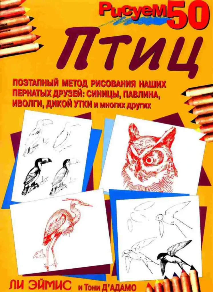 Drawing 50 Birds