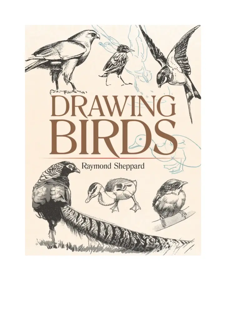 Drawing Birds